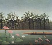 Henri Rousseau The Flamingos France oil painting artist